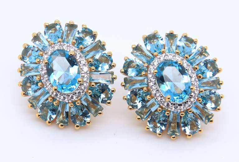 Sterling Silver Gemstone Earrings