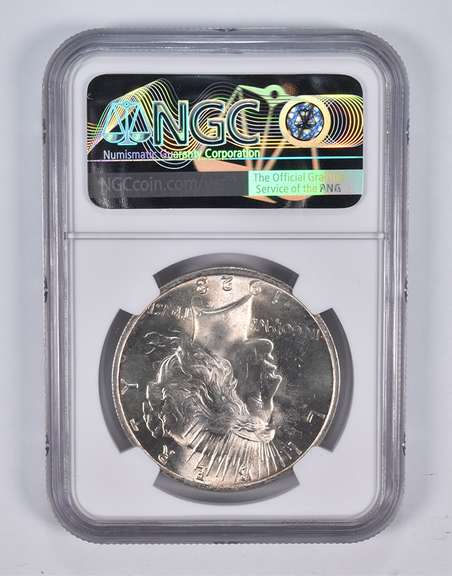Mint Error MS64 1923 Peace Silver Dollar REV Struck Thru NGC