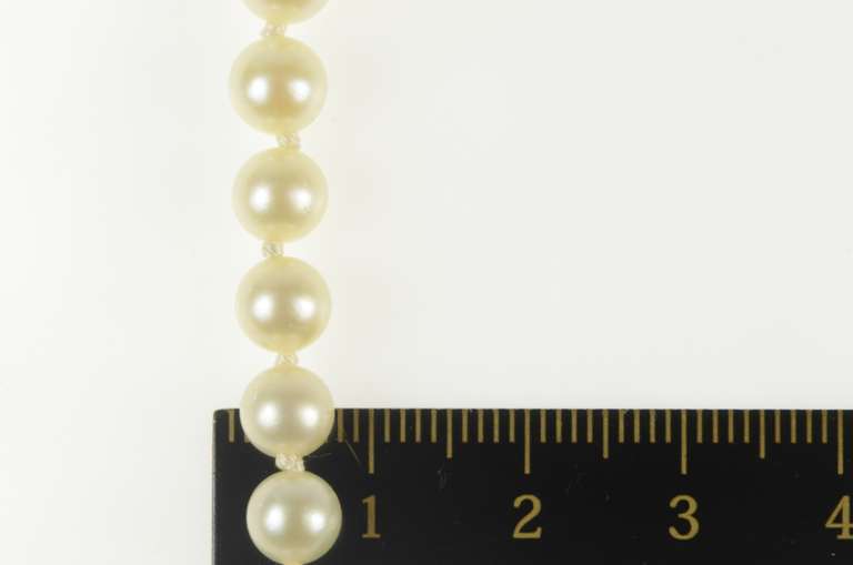 14K Yellow Gold 6.5mm Pearl Strand Classic Statement Necklace