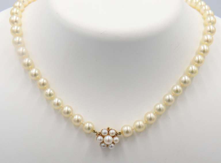 Classy 14kt YG Soft Golden Pearl Necklace