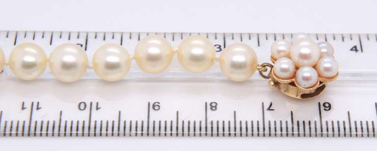 Classy 14kt YG Soft Golden Pearl Necklace