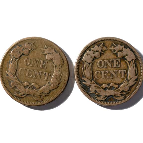 2 1858 Flying Eagle Cents