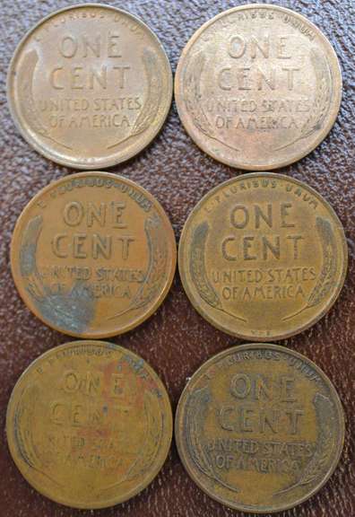 Lot Of 6 1909 V.D.B. Wheat Cents, Circulated.