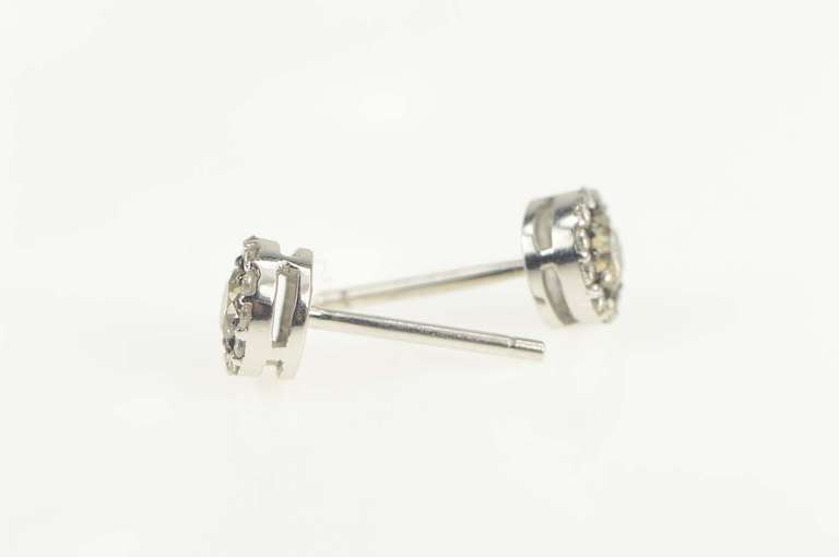 14K White Gold 0.82 Ctw Diamond Round Halo Cluster Stud Earrings
