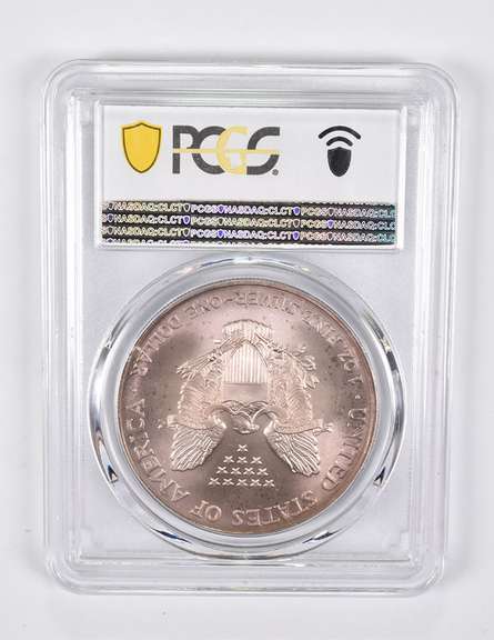 MS67 2005 American Silver Eagle Toning PCGS Insane Tone