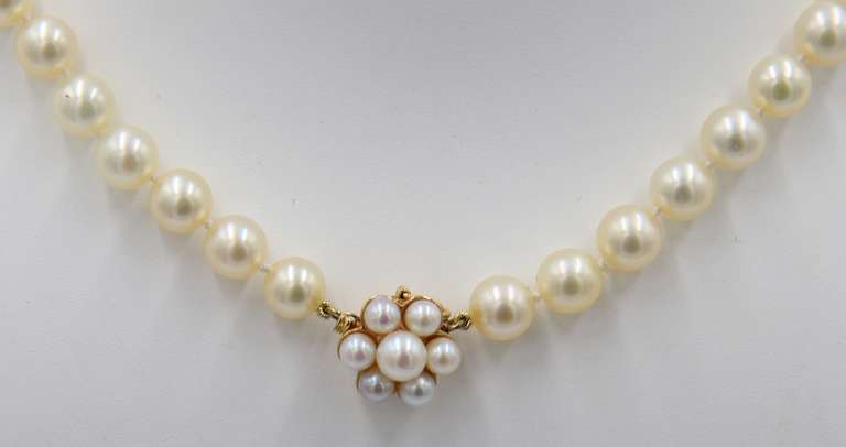 Classy 14kt YG Soft Golden Pearl Necklace