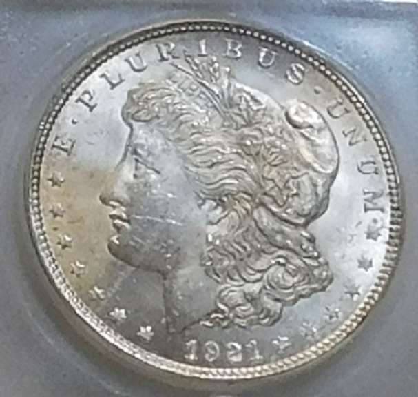 1921 Morgan Dollar  ICG MS-65