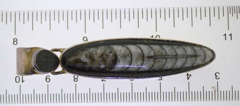Sterling Silver Orthoceres Fossil Specimen Pendant