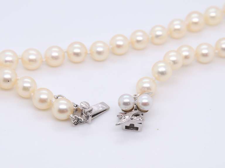 Incredible 14kt WG Fresh Water Pearl Necklace