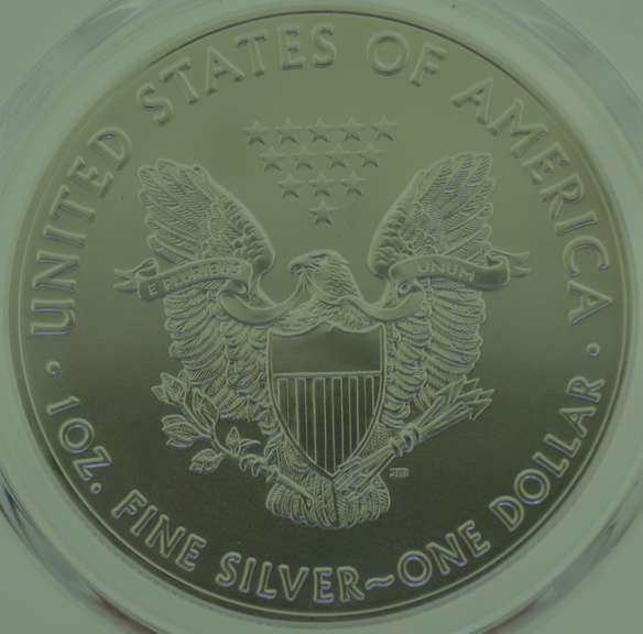 2019 Silver Dollar Eagle $1 PCGS MS70 First Strike