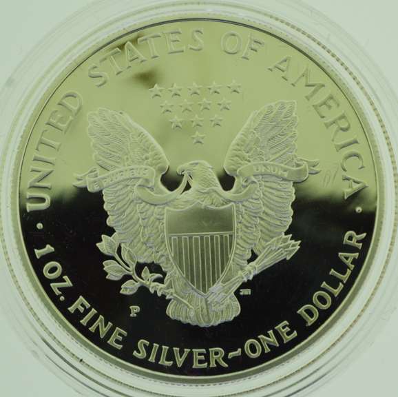 1995-P Silver Bullion American Eagle $1 One Dollar Proof Coin Boxed with COA