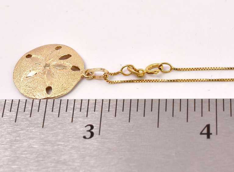Stunning Sand Dollar Pendant Necklace in 14K Yellow Gold