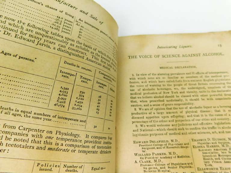 Rare 1877 Constitutional Amendment for Intoxicating Liquors