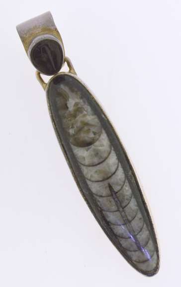 Sterling Silver Orthoceres Fossil Specimen Pendant