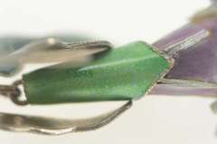 Sterling Silver Purple Blue Bell Enamel Flower Dangle Earrings