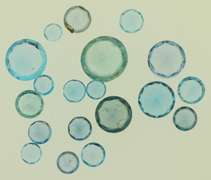 20.6ct Round Blue Topaz Loose Stone Lot