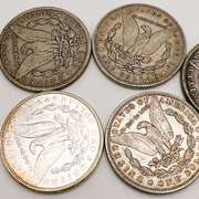 Lot of 5x Morgan Silver Dollars- Includes CC