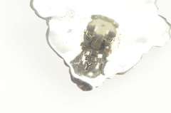 Sterling Silver Linda Yazzie Navajo Carnelian Clip Back Earrings