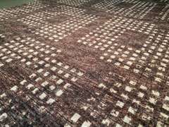 Magnificent Modern Rug 5x8