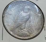 1923 Peace Dollar circ