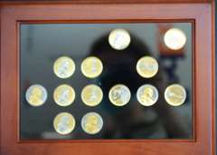 Lot Of 19 Gold And Platinum Highlighted Native American Dollars In Wooden Display Box.