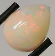 Stunning 3.70ct floral patterned semi-black Opal