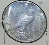 1923 Peace Dollar circ