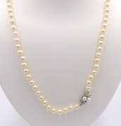 Incredible 14kt WG Fresh Water Pearl Necklace
