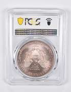 MS67 2005 American Silver Eagle Toning PCGS Insane Tone