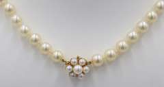 Classy 14kt YG Soft Golden Pearl Necklace