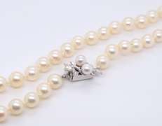 Incredible 14kt WG Fresh Water Pearl Necklace