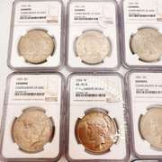 Lot of 10x Certified Peace Dollars- Mixed Dates