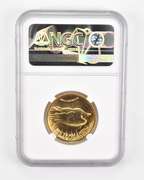 MS70 2009 $20 American Gold Eagle - Ultra High Relief - Graded NGC