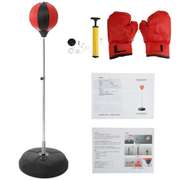 Boxing Target Punch Ball with Boxing Gloves