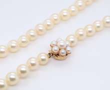Classy 14kt YG Soft Golden Pearl Necklace