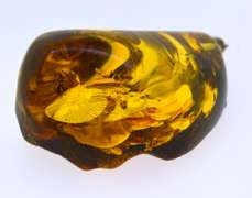 Sterling Silver Baltic Amber Crystal Pendant