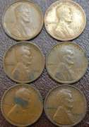 Lot Of 6 1909 V.D.B. Wheat Cents, Circulated.