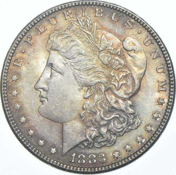 1883 Morgan Silver Dollar - Toned