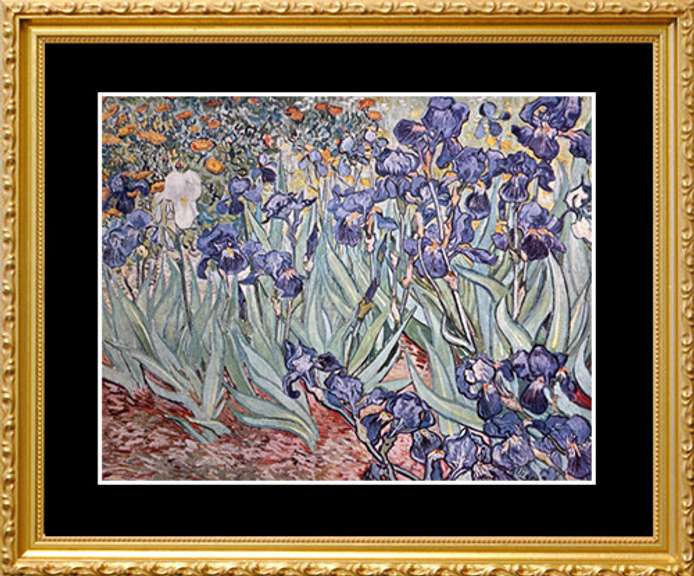 Vincent Van Gogh, Irises