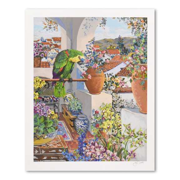 Parrot & Rooftops- Limited edition serigraph