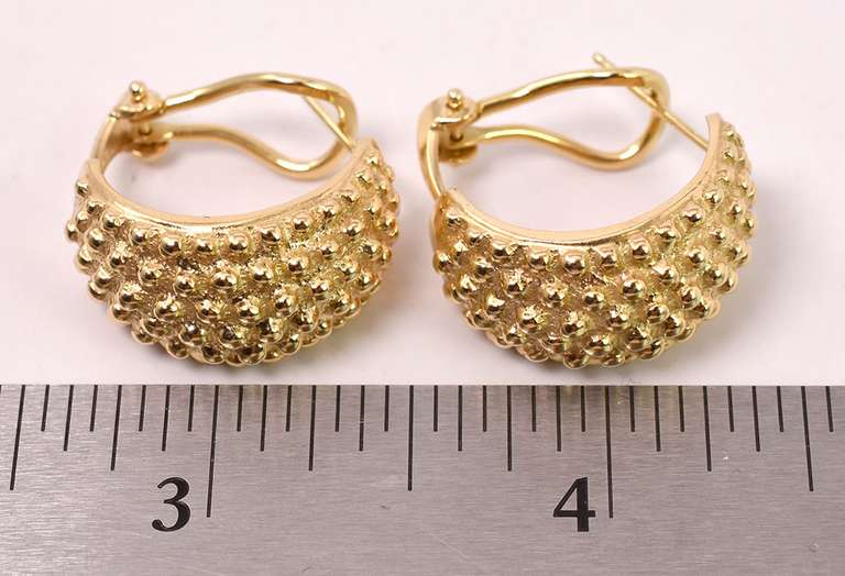 Stunning Studded Hoop Earrings in 14K Yellow Gold