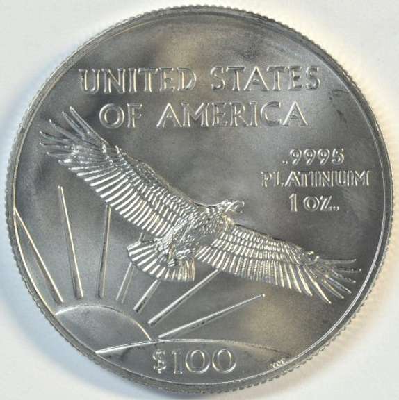 Pristine-perfect 2022 pure Platinum $100 American Eagle coin