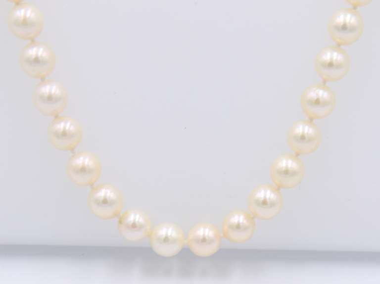 Elegant Fresh water Pearl Necklace