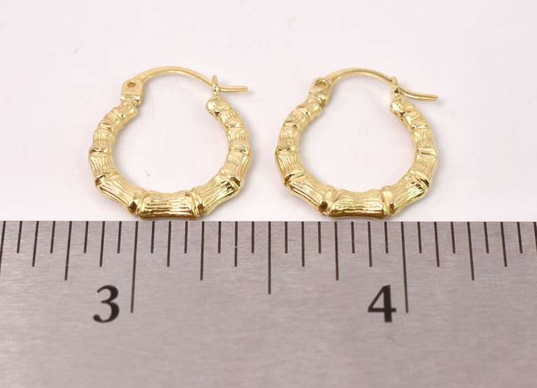 Precious Hoop Earrings in 14K Yellow Gold
