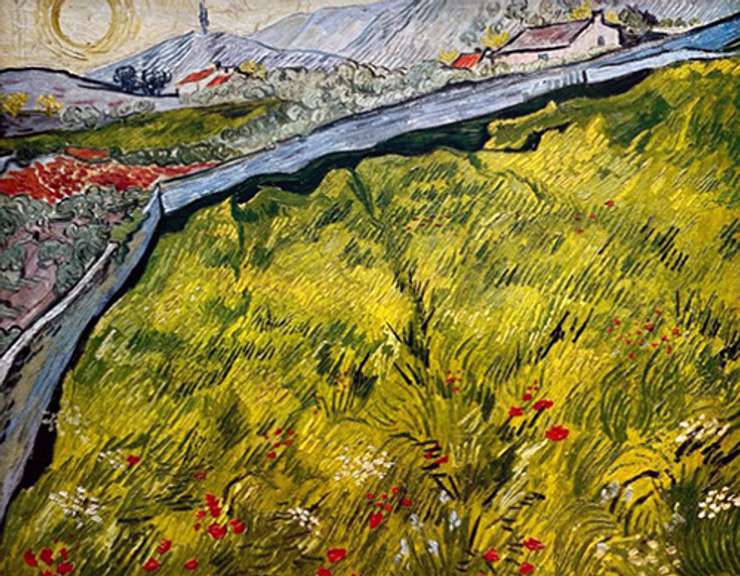 Vincent Van Gogh, The Enclosed Field