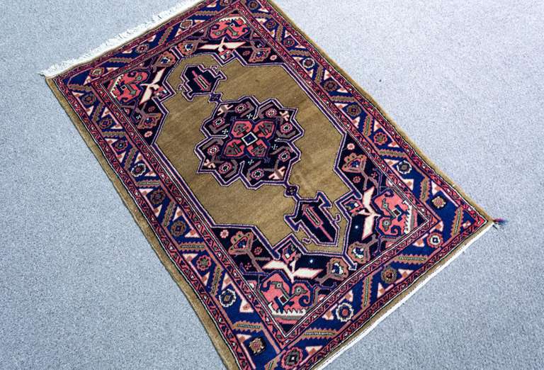 Simply Beautiful Persian Kolyaee 3.5x5.0