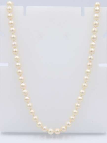 Elegant Fresh water Pearl Necklace