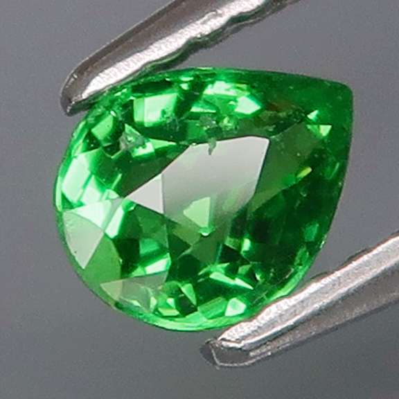 Top chrome green! .68ct Tanzanian Tsavorite Garnet