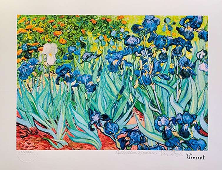 Vincent Van Gogh, Irises