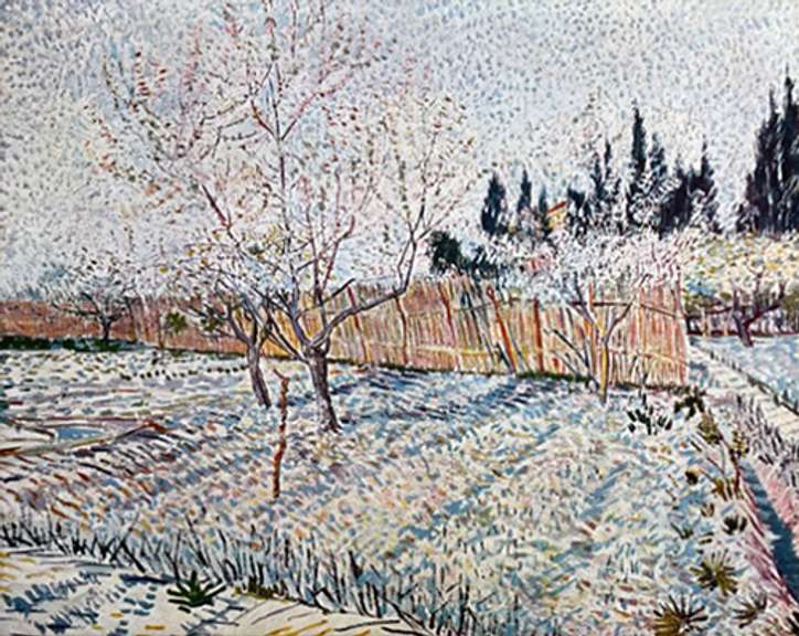 Vincent Van Gogh, Orchard, Springtime